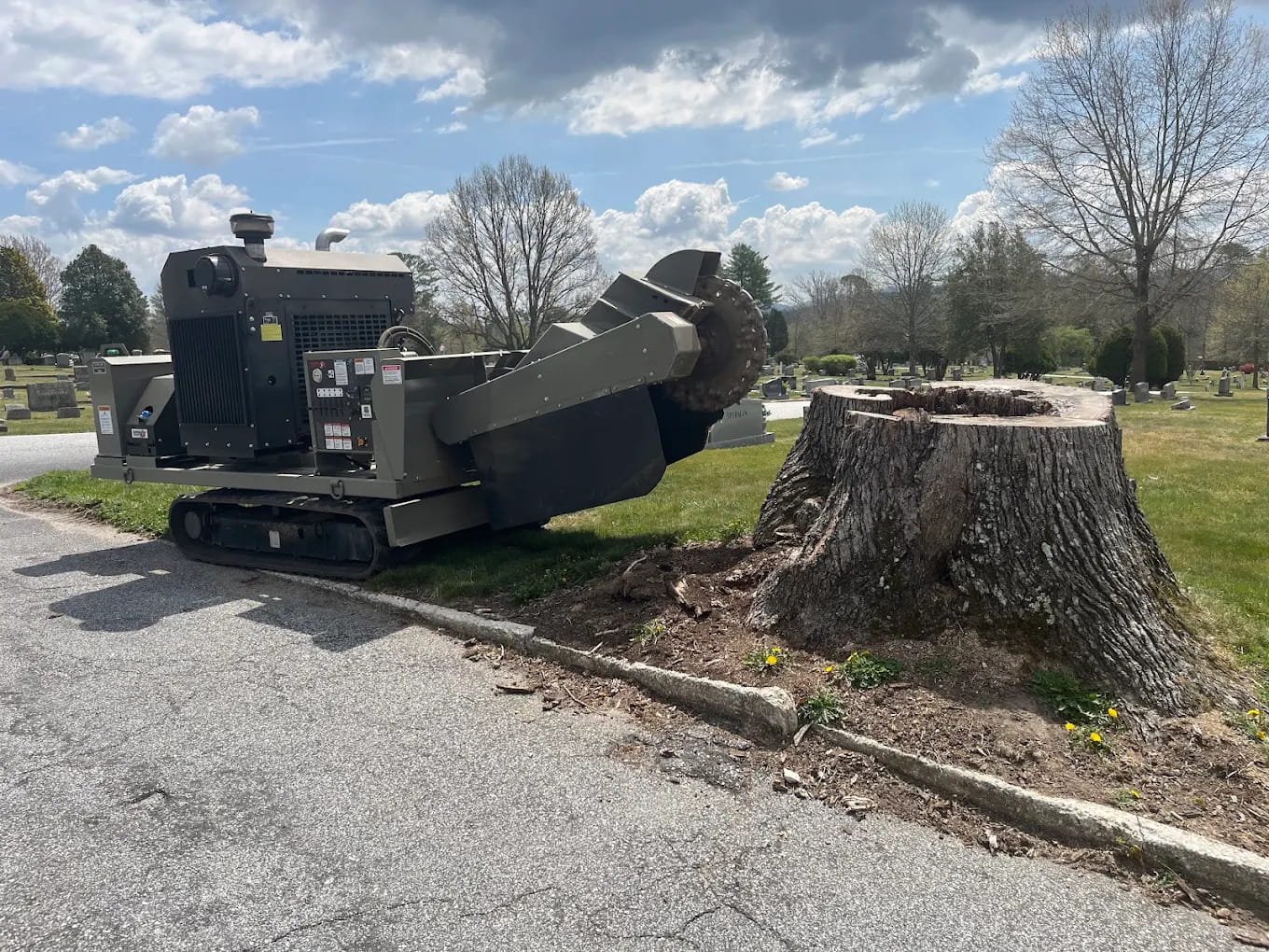 Super Daves Concrete & Grading — stump grinding
